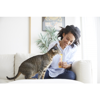 Purée CHURU au poulet, fromage et bœuf pour Chat x12_poulet