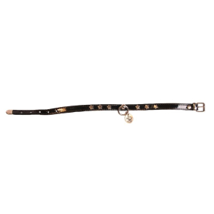 Collier - Vernis étoile - <35cm - 1.2cm