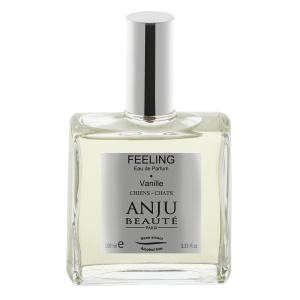 Feeling Eau de Parfum - Anju Beauté - 100ml