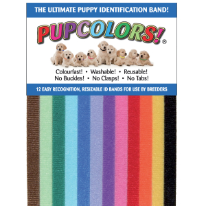 12 Colliers d'identification - <35cm - multicolore