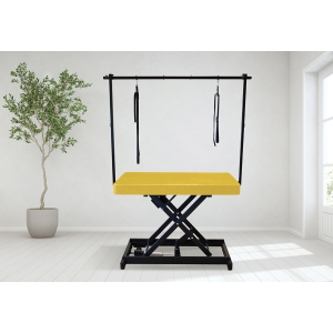 Table de toilettage électrique I-DESIGN - 120x60cm - jaune moutarde pailletée