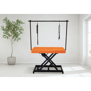 Table de toilettage électrique I-DESIGN - 120x60cm - mangue pailletée