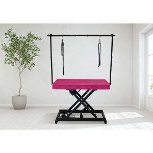 Table de toilettage électrique I-DESIGN - 120x60cm - azalée pailletée