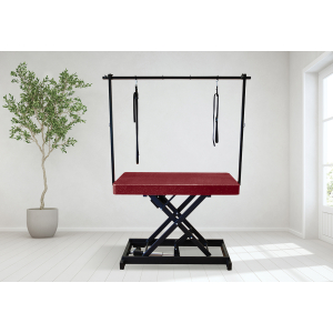Table de toilettage électrique I-DESIGN - 120x60cm - marsala pailletée