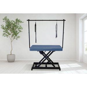 Table de toilettage électrique I-DESIGN - 120x60cm - récif pailletée