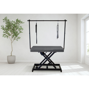 Table de toilettage électrique I-DESIGN - 120x60cm - acier pailletée