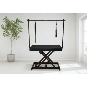 Table de toilettage électrique I-DESIGN - 120x60cm - intemporel pailletée