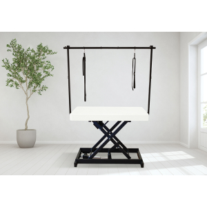 Table de toilettage électrique I-DESIGN - 120x60cm - lin poudré pailletée
