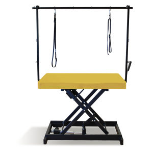 Table de toilettage électrique I-DESIGN - 120x60cm - jaune moutarde laquée