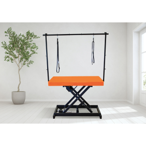 Table de toilettage électrique I-DESIGN - 120x60cm - mangue laquée