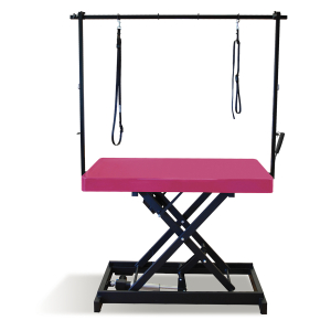 Table de toilettage électrique I-DESIGN - 120x60cm - azalée laquée