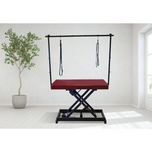 Table de toilettage électrique I-DESIGN - 120x60cm - marsala laquée