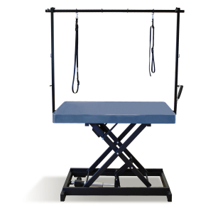 Table de toilettage électrique I-DESIGN - 120x60cm - récif laquée