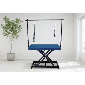 Table de toilettage électrique I-DESIGN - 120x60cm - grand large laquée