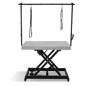 Table de toilettage électrique I-DESIGN - 120x60cm - mineral laquée