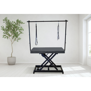 Table de toilettage électrique I-DESIGN - 120x60cm - acier laquée