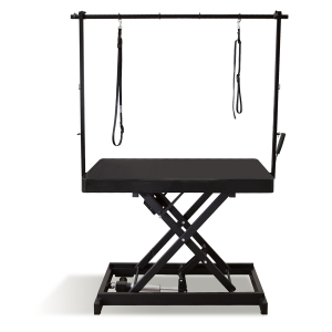 Table de toilettage électrique I-DESIGN - 120x60cm - intemporel laquée