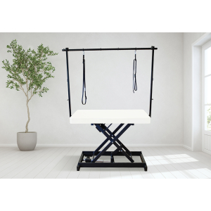 Table de toilettage électrique I-DESIGN - 120x60cm - lin poudré laquée