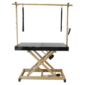 Table de toilettage électrique I-DESIGN - 120x60cm - noire laquée châssis or