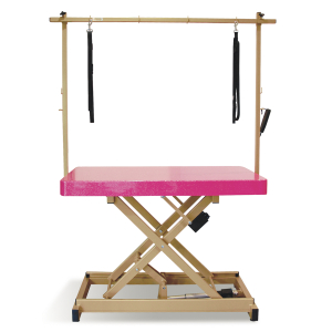 Table de toilettage électrique I-DESIGN - 120x60cm - azalée laquée châssis or