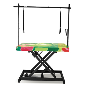 Table de toilettage électrique I-DESIGN - 120x60cm - végétale