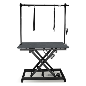 Table de toilettage électrique CARACTERE - 120x60cm - ardoise