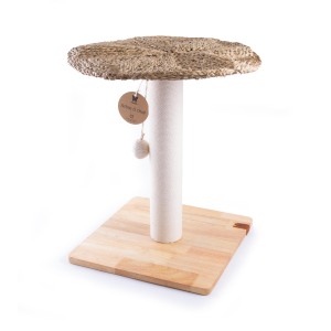 Arbre à chat avec plateau en coco - Pure - 54cm - marron