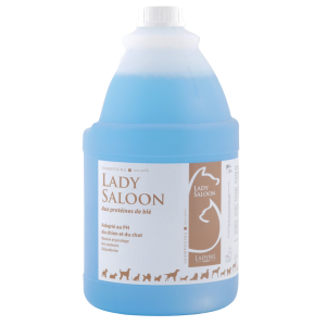 Lady Saloon Shampoo - Ladybel - 20L