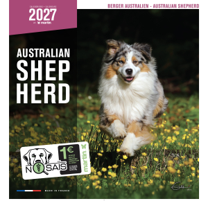 Calendrier chien 2027 - Berger Australien - Martin