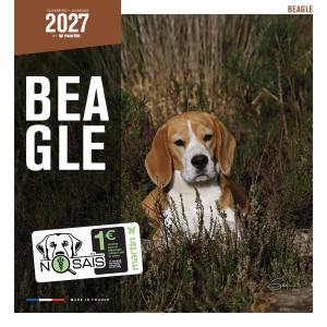Calendrier chien 2027 - Beagle - Martin