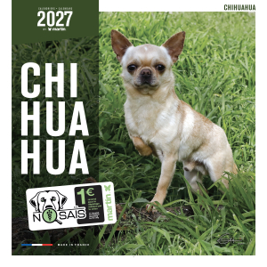 Calendrier chien 2027 - Chihuahua - Martin