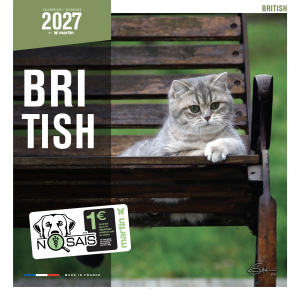 Calendrier chat 2027 - British - Martin