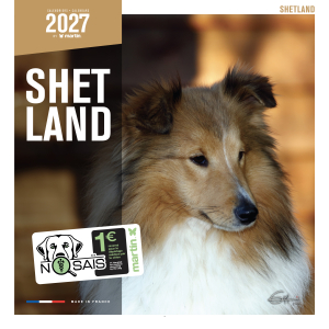 Calendrier chien 2027 - Shetland - Martin