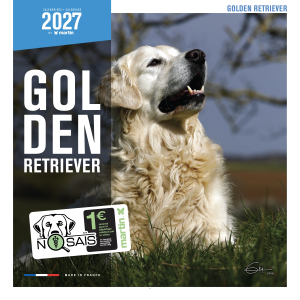 Calendrier chien 2027 - Golden Retriever - Martin