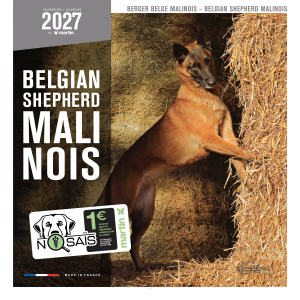 Calendrier chien 2027 - Berger Belge Malinois - Martin