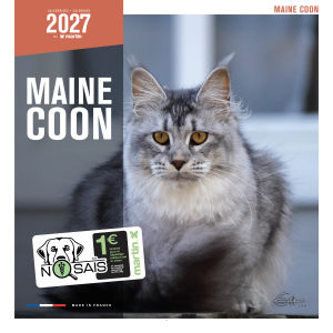 Calendrier chat 2027 - Maine Coon - Martin