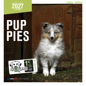 Calendrier chien 2027 - Chiots - Martin