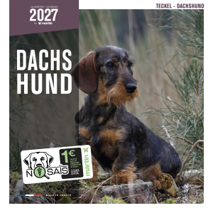 Calendrier chien 2027 - Teckel - Martin