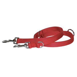 Laisse en nylon - Dressage - 2m - Rouge