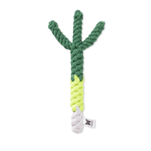 Leek in bunch - Vegetable - Medium size - green