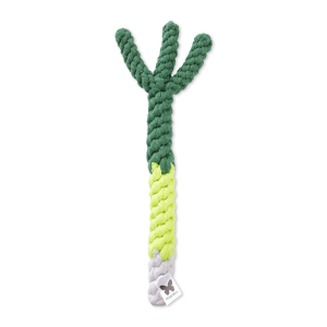 Leek on a string - Vegetable - Large size - green