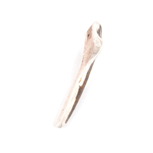 Half sliced deer antler M - 60-80g
