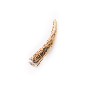 Whole deer antler S - 20-45g