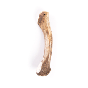 Whole XL Deer Antler - 140-170g