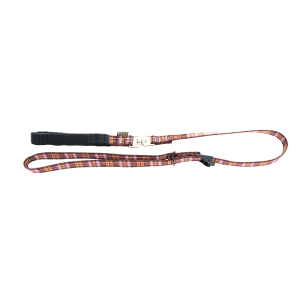 Nylon leash and collar - mauve