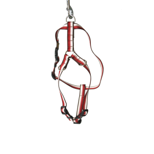 Nylon harness - Baya - 63/100cm - 4cm - red