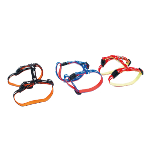 Harnais chat en nylon - Cat bicolor - 35/50cm - 1cm - bleu