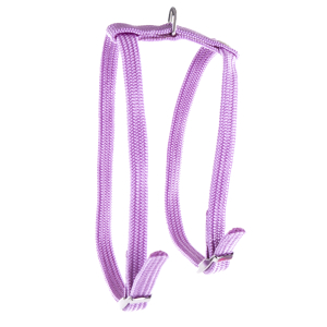 Harnais chat H en nylon - Classique Tubulaire - 35/40cm - 1cm - parme