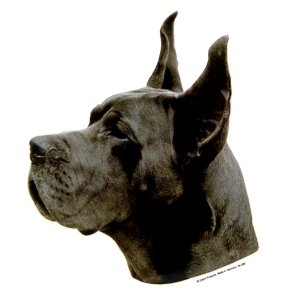 Autocollant - Dogue Allemand - 14/15cm - noir