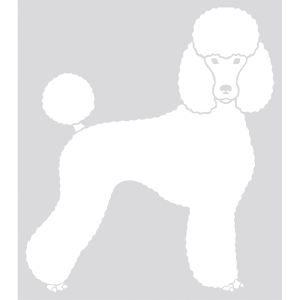 Autocollant - Silhouette caniche - 20cm - noir